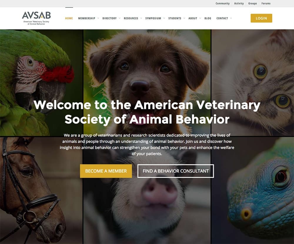 AVSAB website design: the homepage, with a grid of animal photos and buttons to become a member or find a behavior consultant