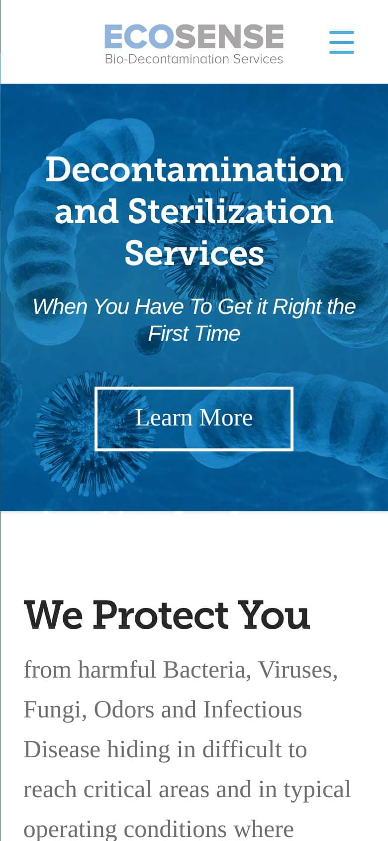 Ecosense website design: the homepage on a phone